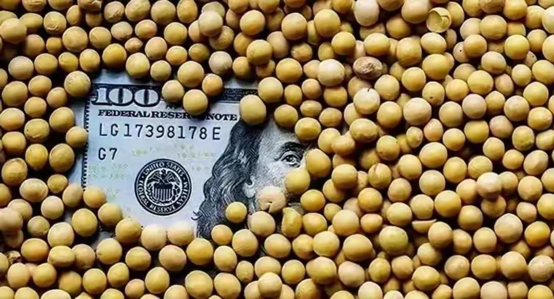 巴西大豆价格暴涨79.9%,中国买家按下暂停键,明年这笔钱还花这吗?巴西大豆