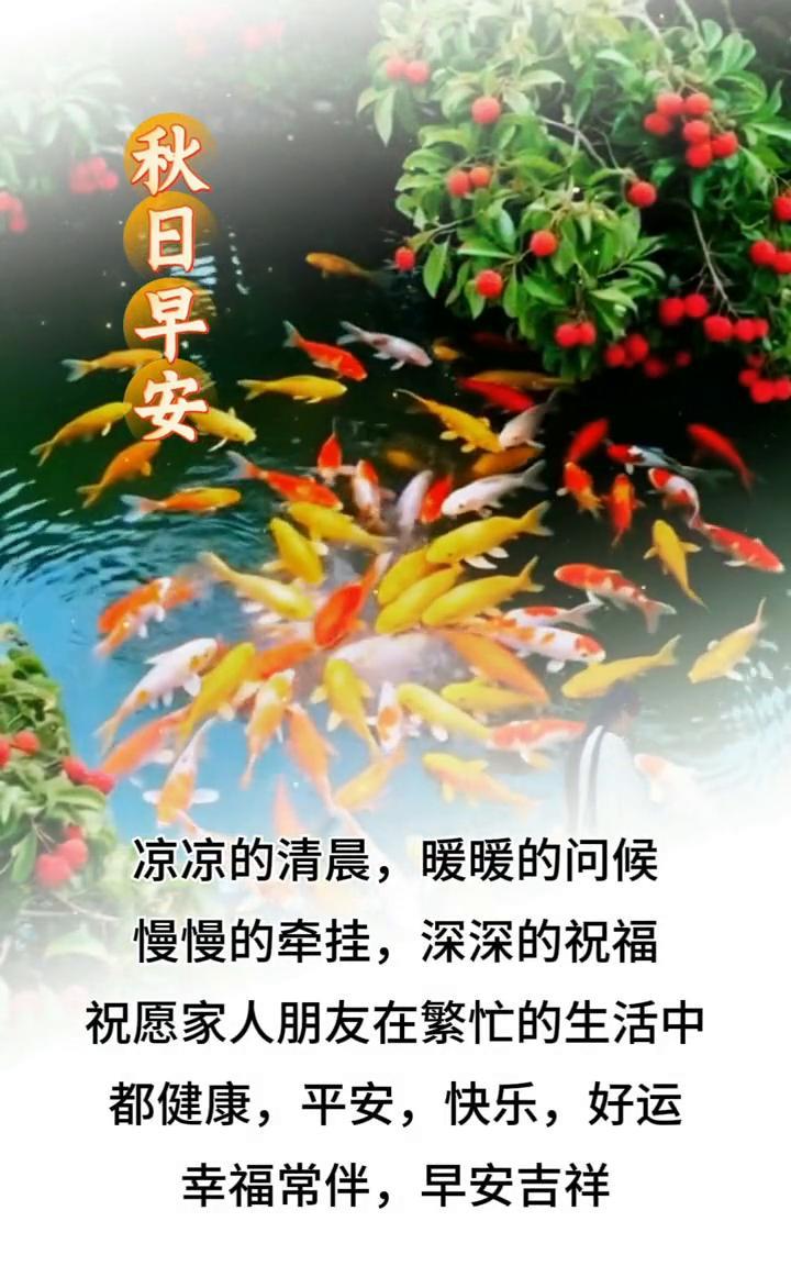 秋日早安。凉凉的清晨，暖暖的问候，慢慢的牵挂，深深的祝福。祝愿家人朋友在繁忙的