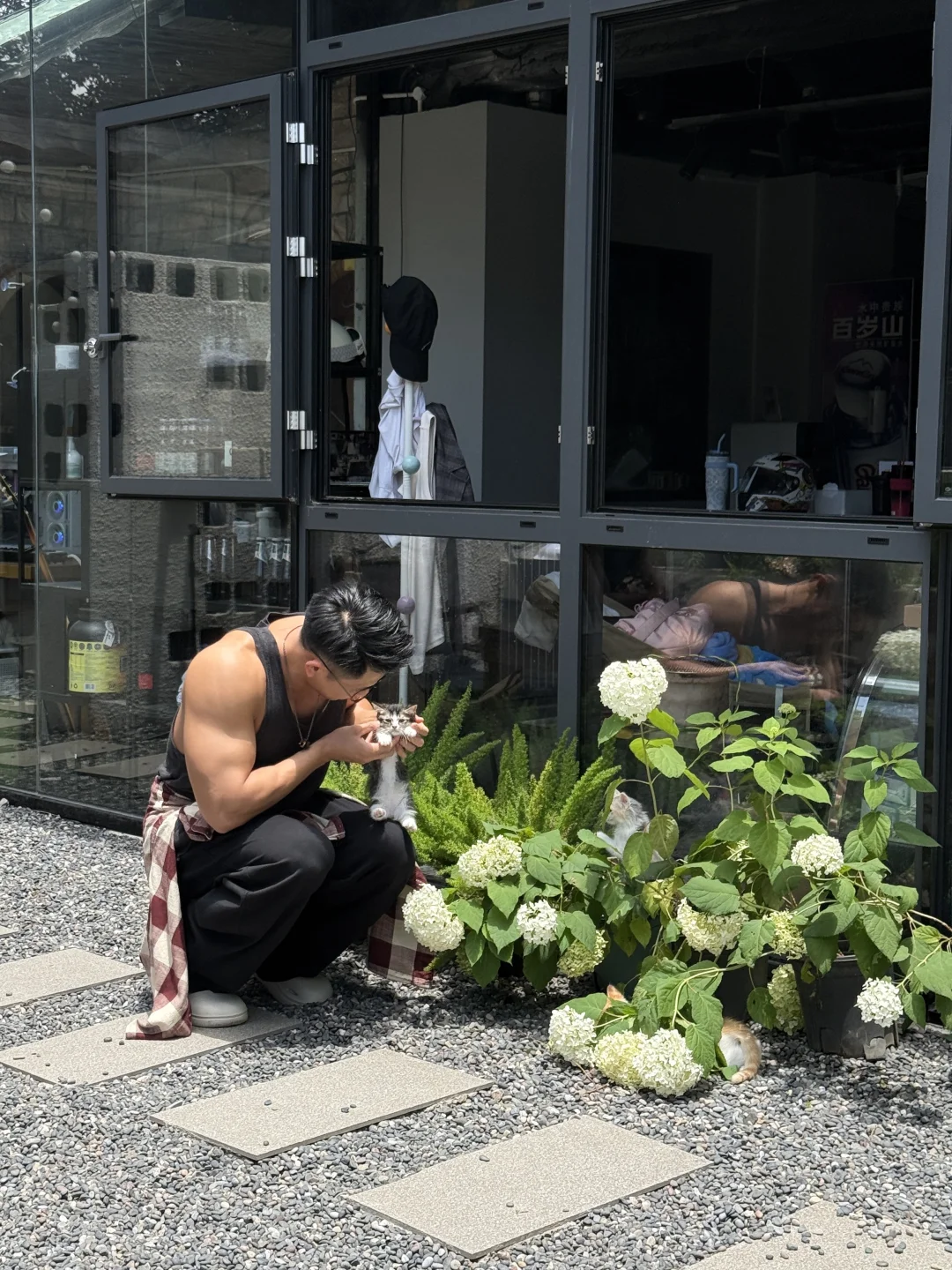 惊！这个健身房长小猫猫了