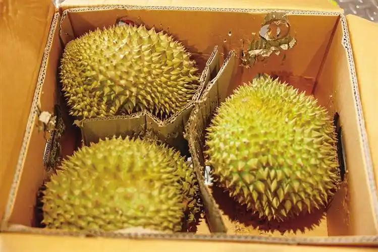 今年榴莲狂跌三成：汤泉馆抢推畅吃套餐，我们真实现自由了？这个五月，最火的不是假