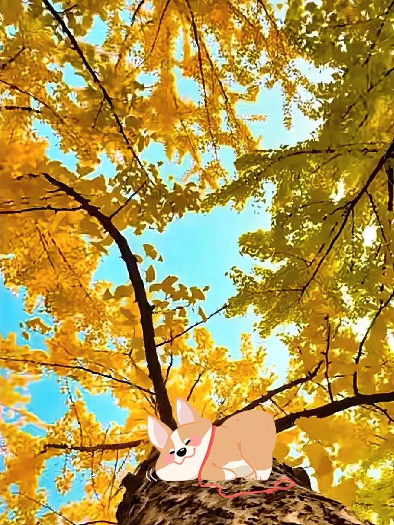 我觉得人最可贵的品格，是靠谱。答应的事一定办，不随便画饼；做不到的事提前说