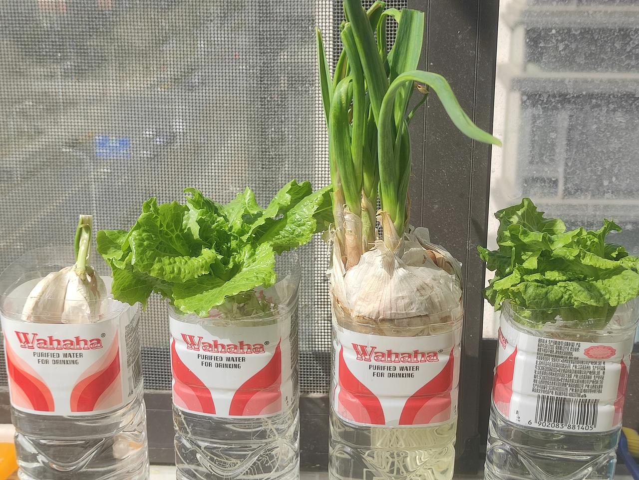 紫微斗数中，空宫能不能借对宫紫微斗数命盘空宫，要不要借对宫呢？空宫，就是没有