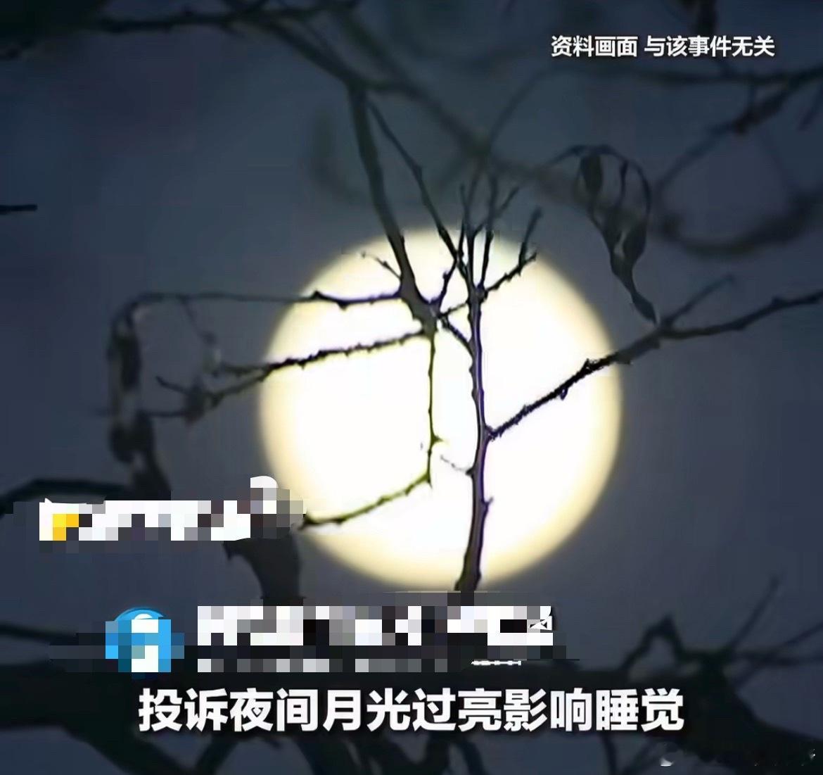市民打12345投诉月光太亮影响睡觉林子大了，什么鸟都有，月亮太亮了不会买个窗帘