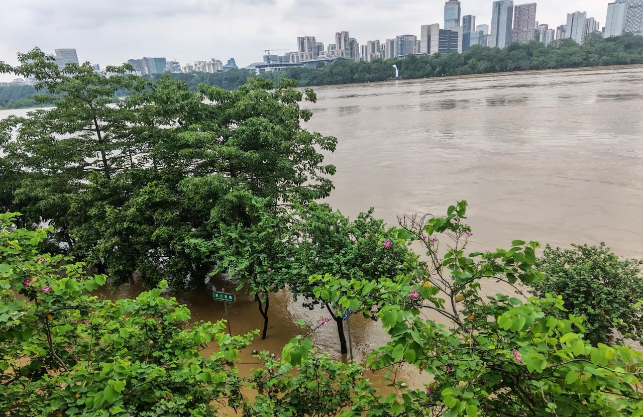 6月21日，柳州涨水实况前两天暴雨下个不停，水就肉眼可见的涨，今天天晴了，不