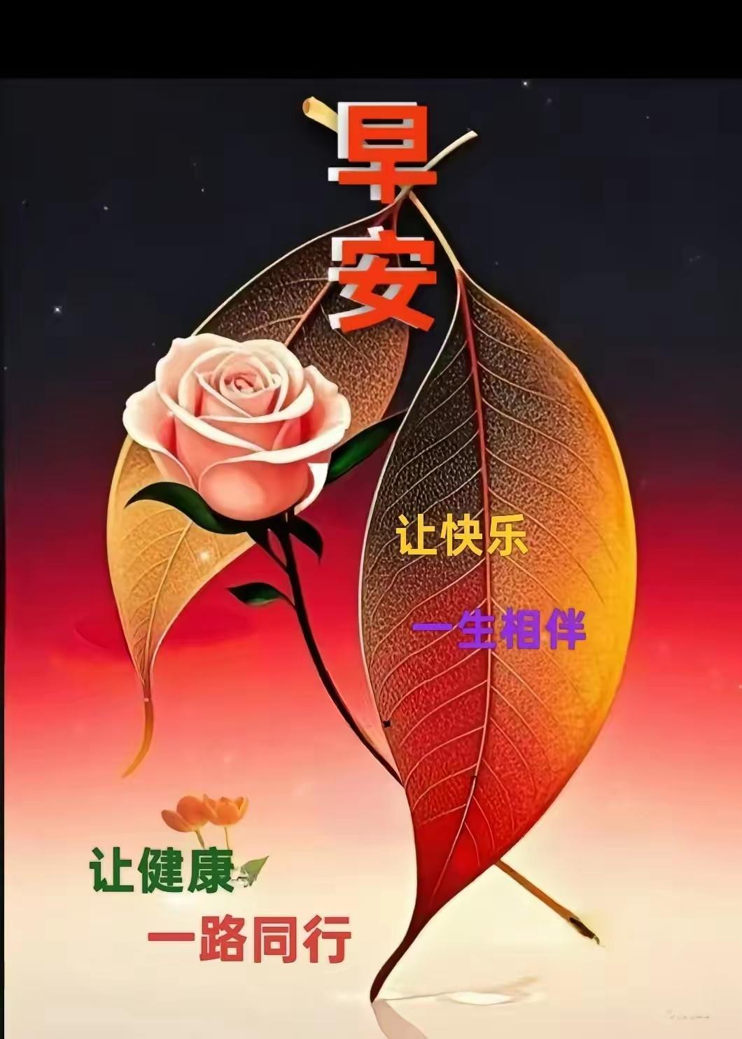 心态是最好的风水[玫瑰][比心][玫瑰]心态是最好的风水，不用求神拜佛，养
