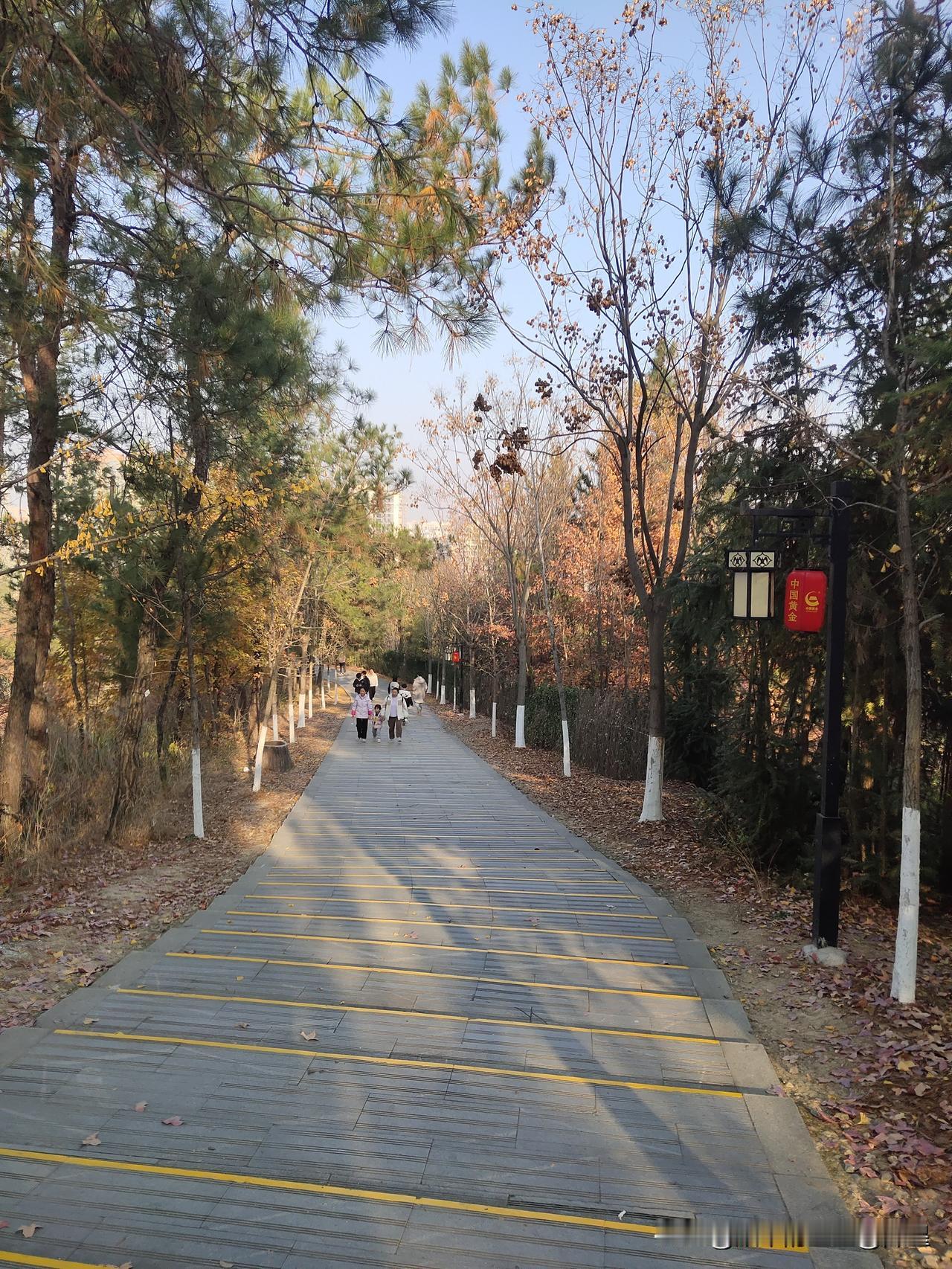 周末爬山拍到的最美风景