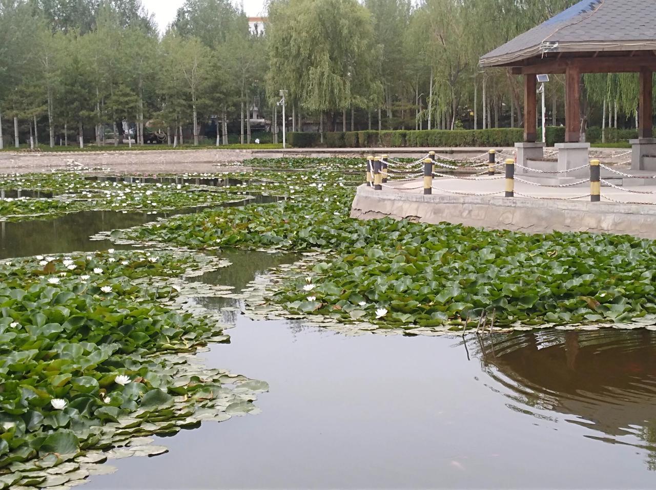 读《毛选》《矛盾论》。说实话，我一开始觉得这种哲学文章肯定特枯燥，结果越看越觉