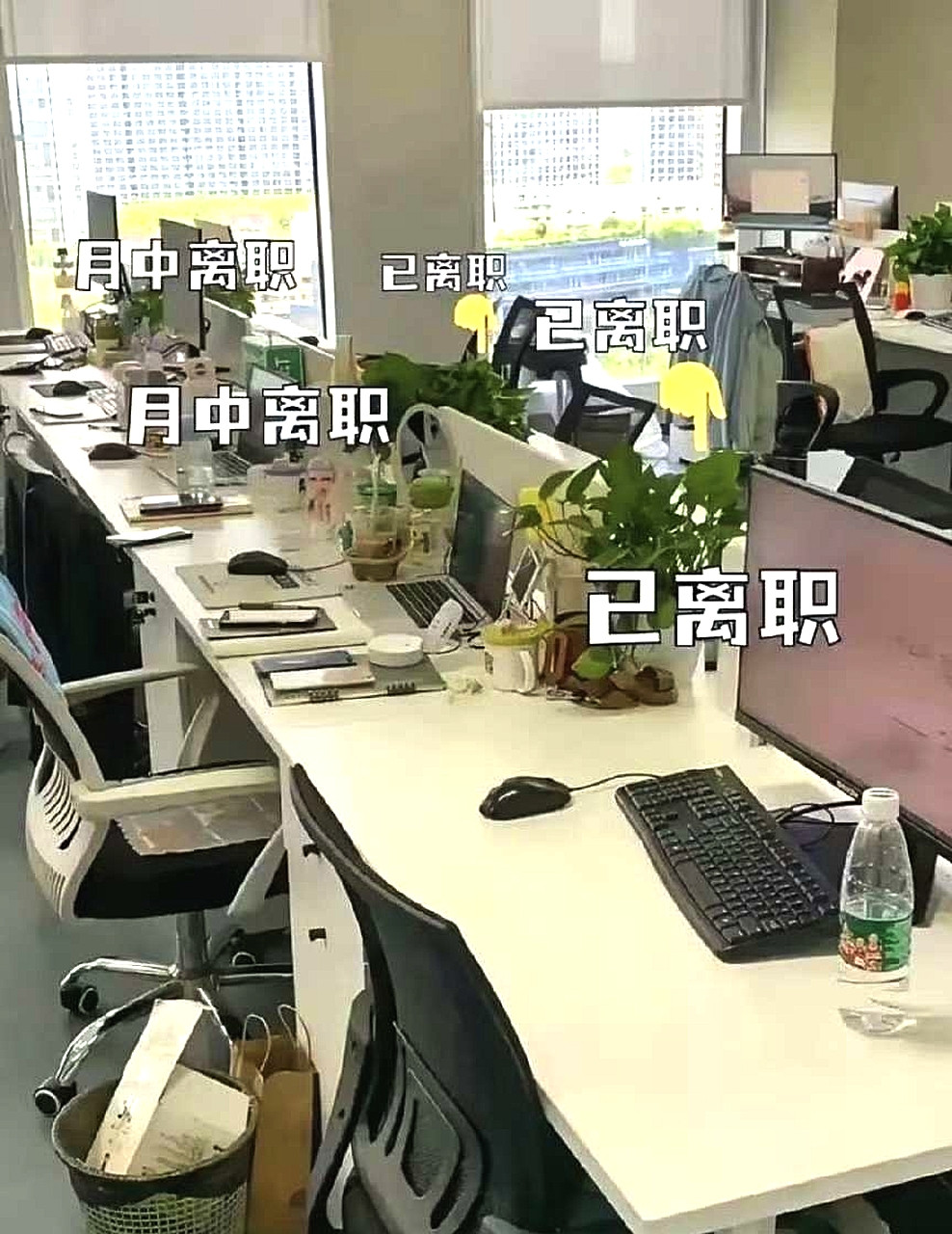 频繁有员工离职的公司，一般是哪里出了问题？