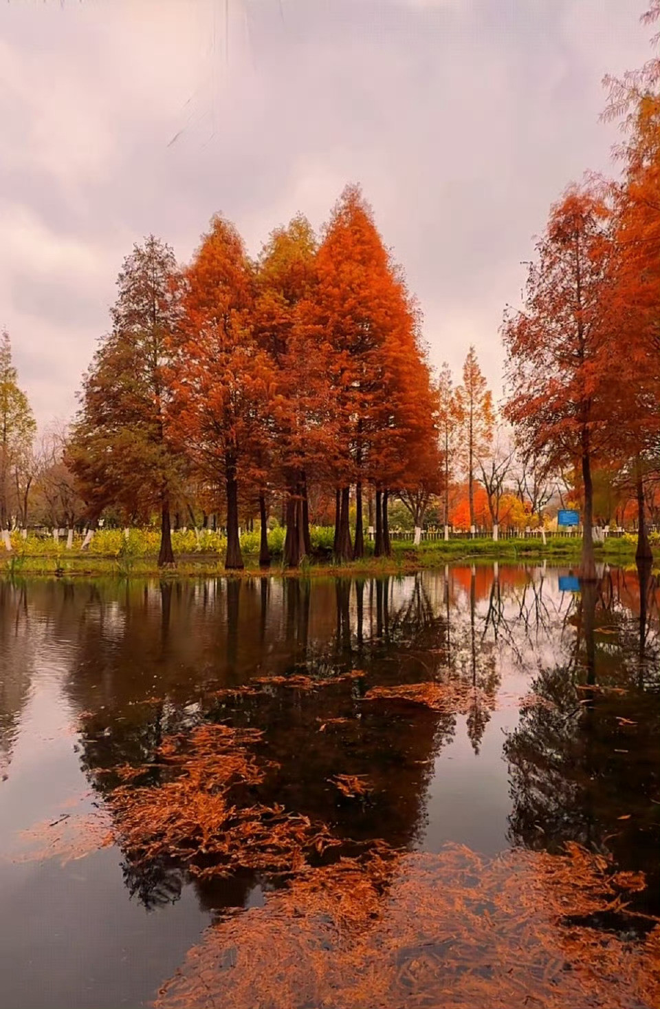 不要去同情任何人，几乎每个成年人，只要他不是小孩子，他的任何惨状，都是自己作的。