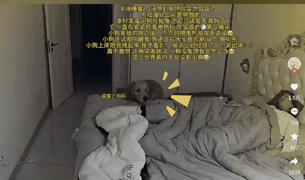 吉林一女生半夜睡着了，不料，电热毯突然冒烟，可女生睡得太沉，并不知情！金毛在旁边