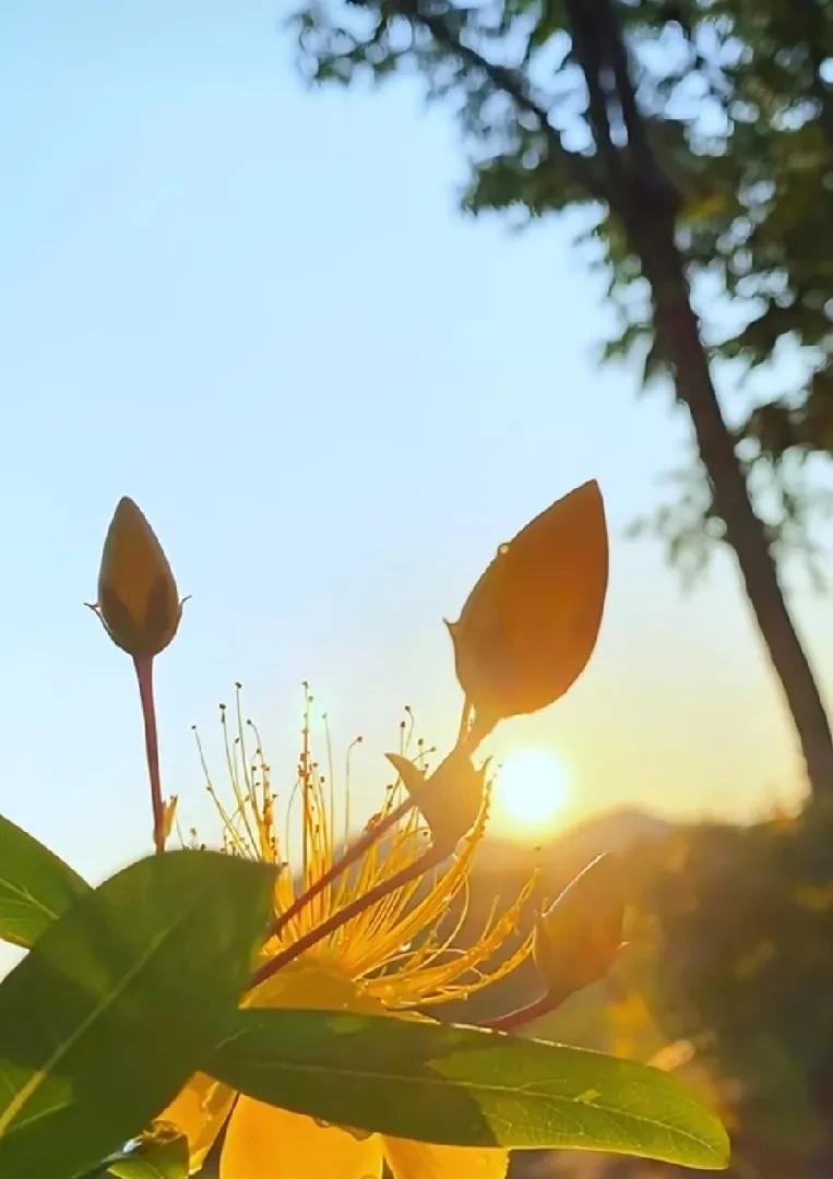 老公打来电话说，今天父亲节，给公公给点钱，我没好气的说，上上周刚给了，现在没有。