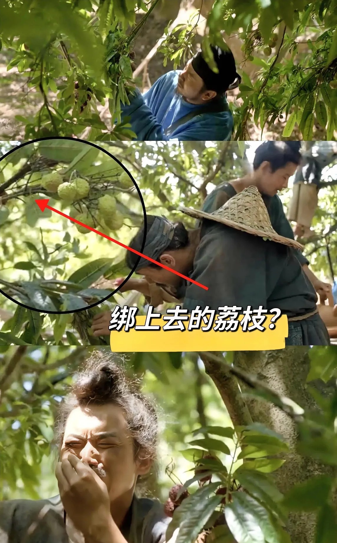 《长安的荔枝》为什么不用真的荔枝树拍摄？目前我看到的解释有3个。一个
