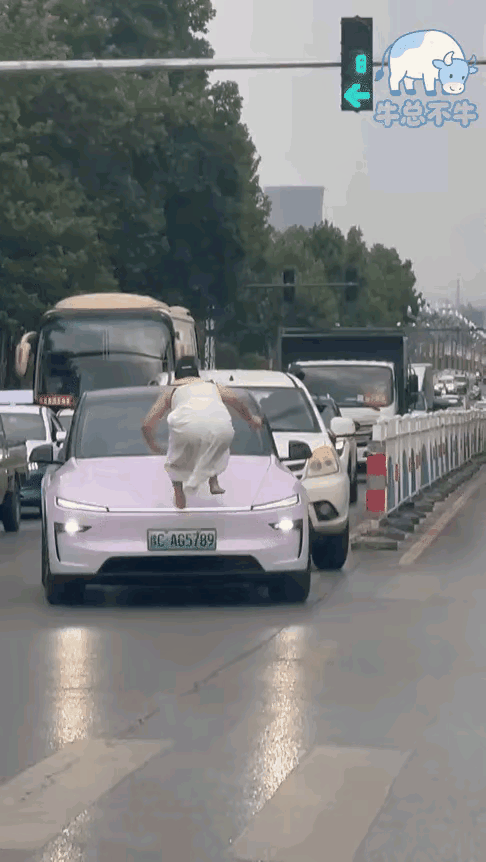 盲猜…正宫和三姐姐之间的战斗吗？不然咋这么拼命呢？[吃瓜]