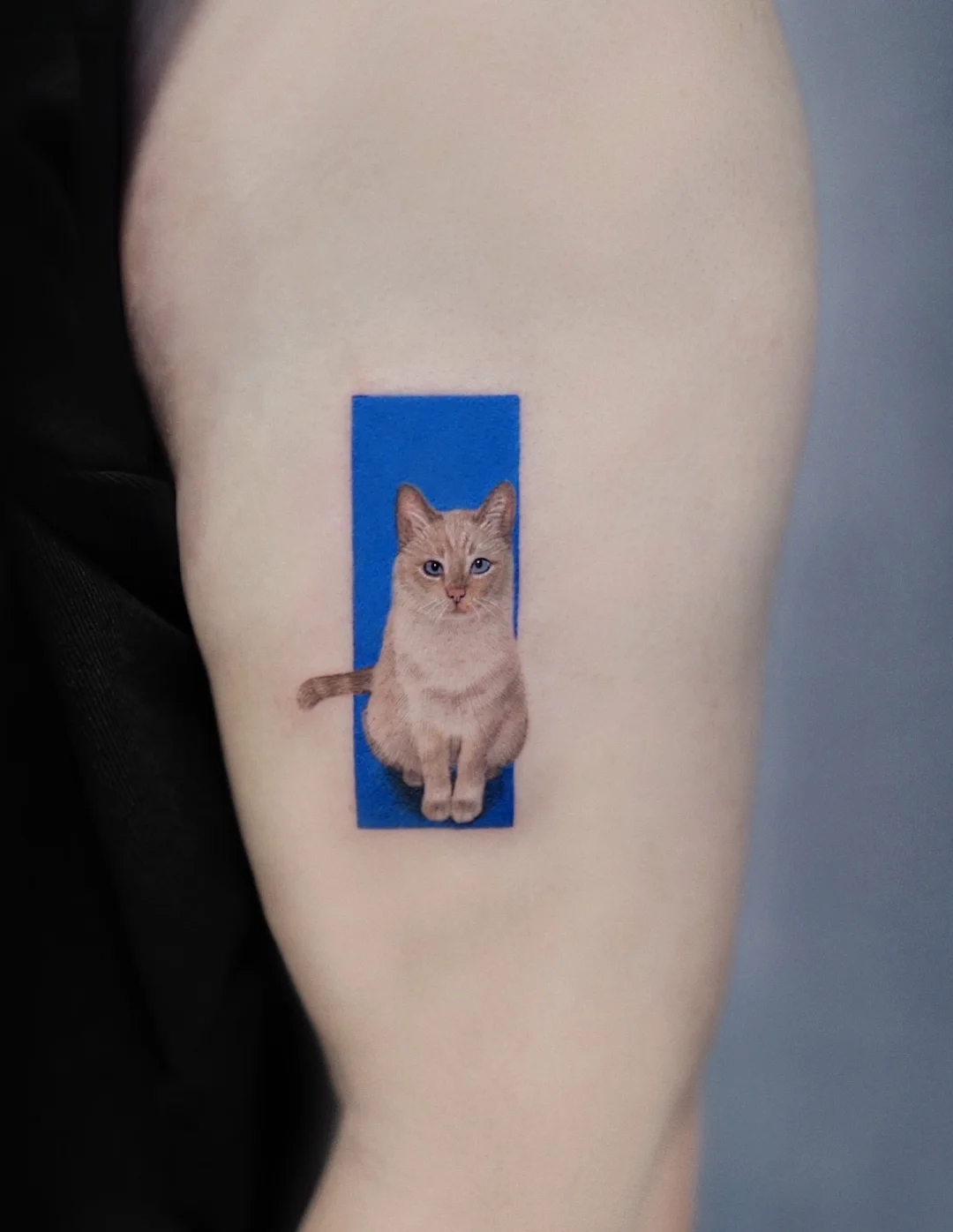 🟦Leica vs iphone🐈｜温哥华宠物tattoo