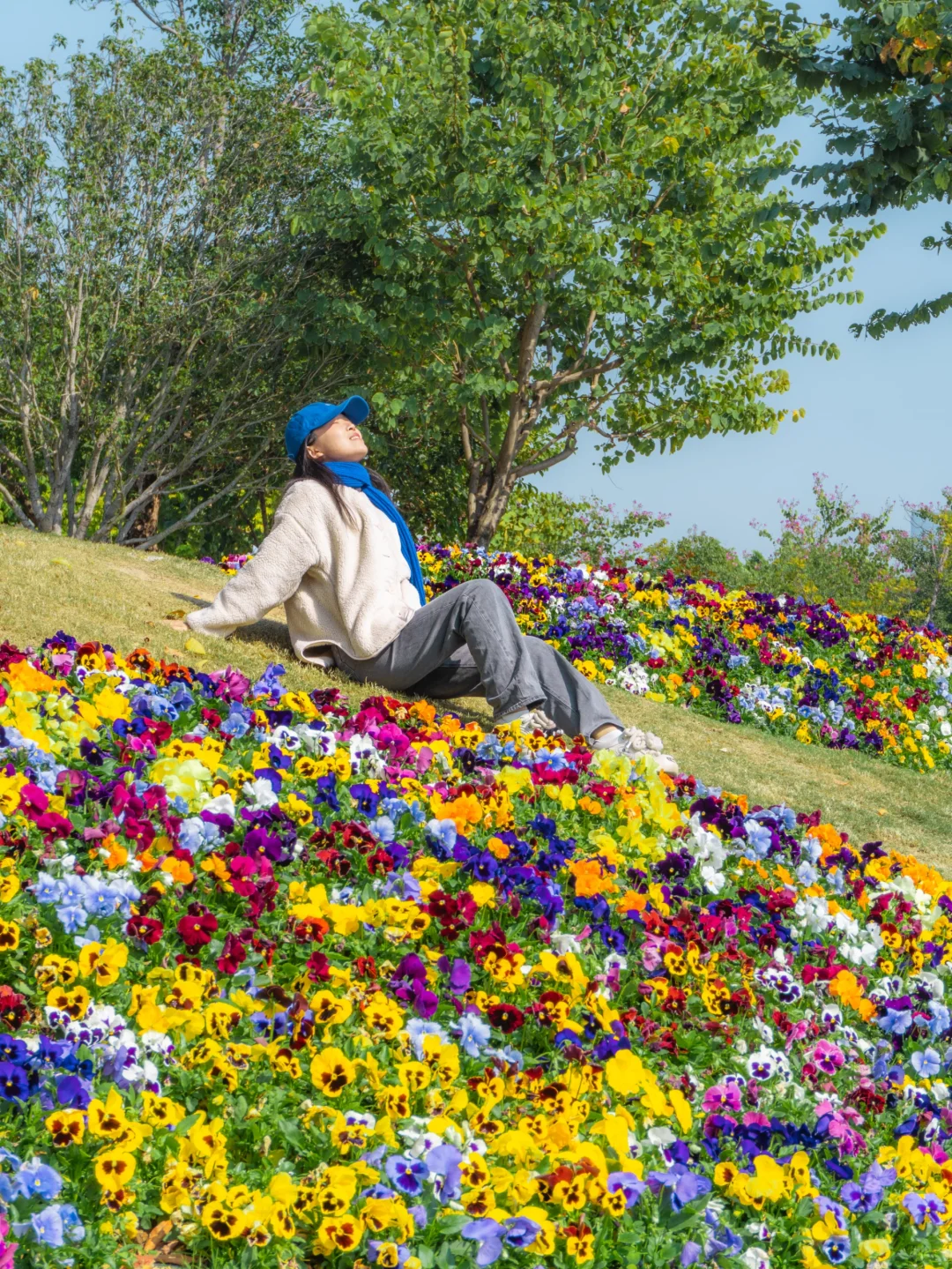 我宣布！这个公园是深圳春日天花板🌼