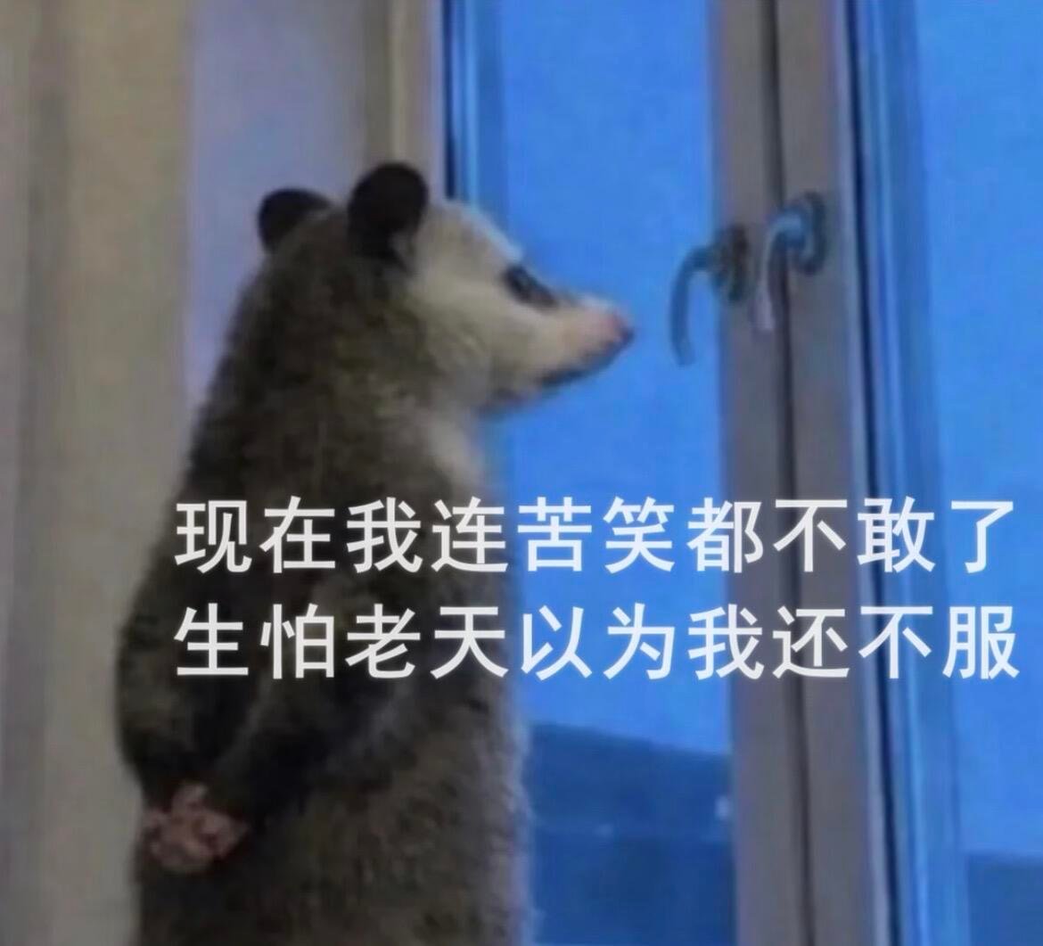 负数梗图表情包我在工位上笑的好难受