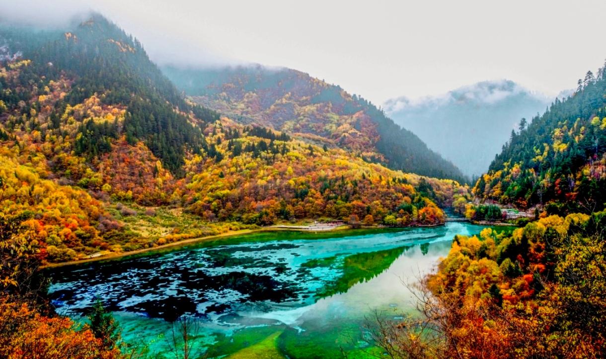 当秋日的笔触拂过九寨沟，这片川西秘境便绽放出最绚烂的模样。彩林沿着山谷层层铺