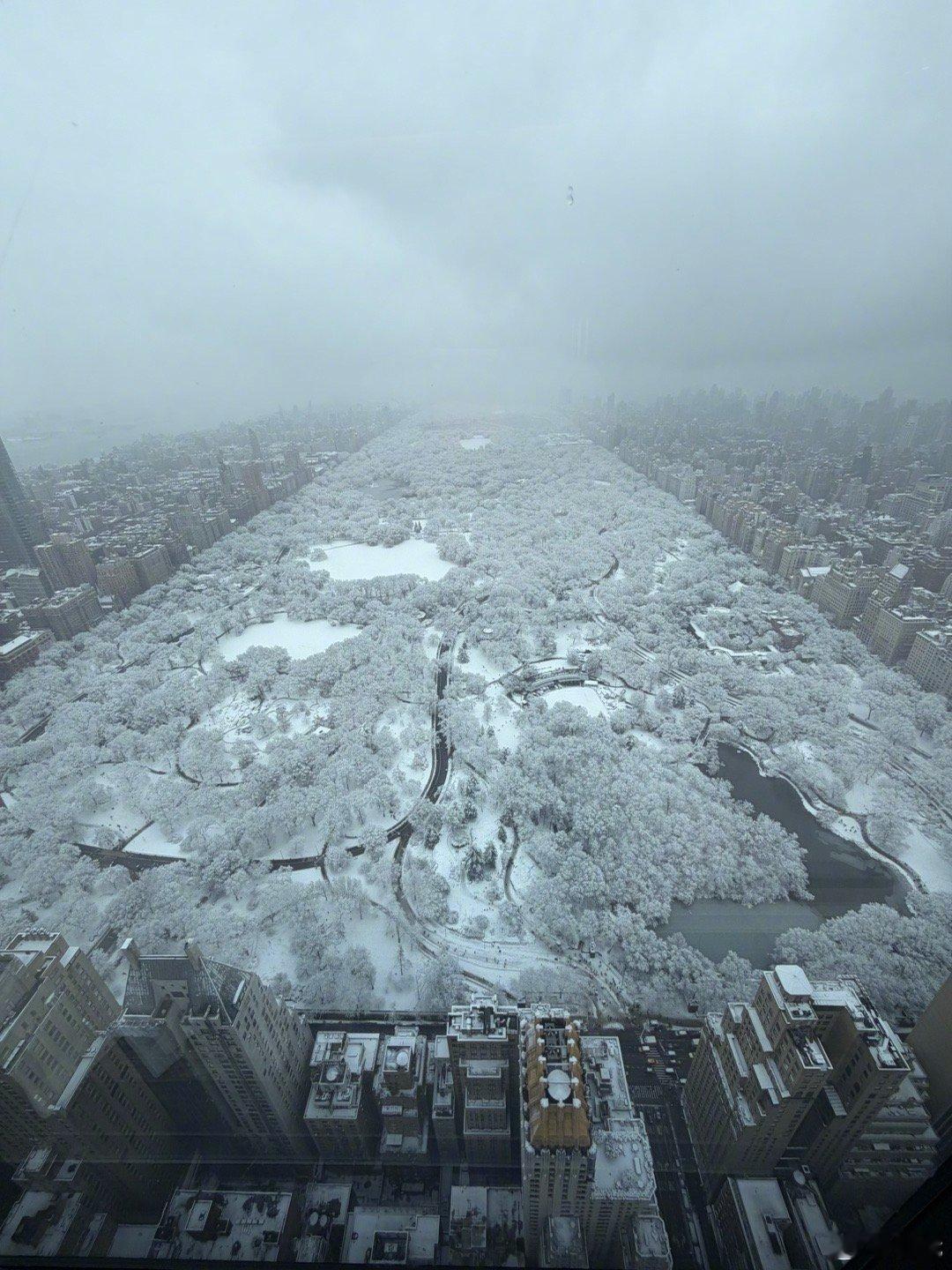 纽约也下大雪了、中央公园雪景