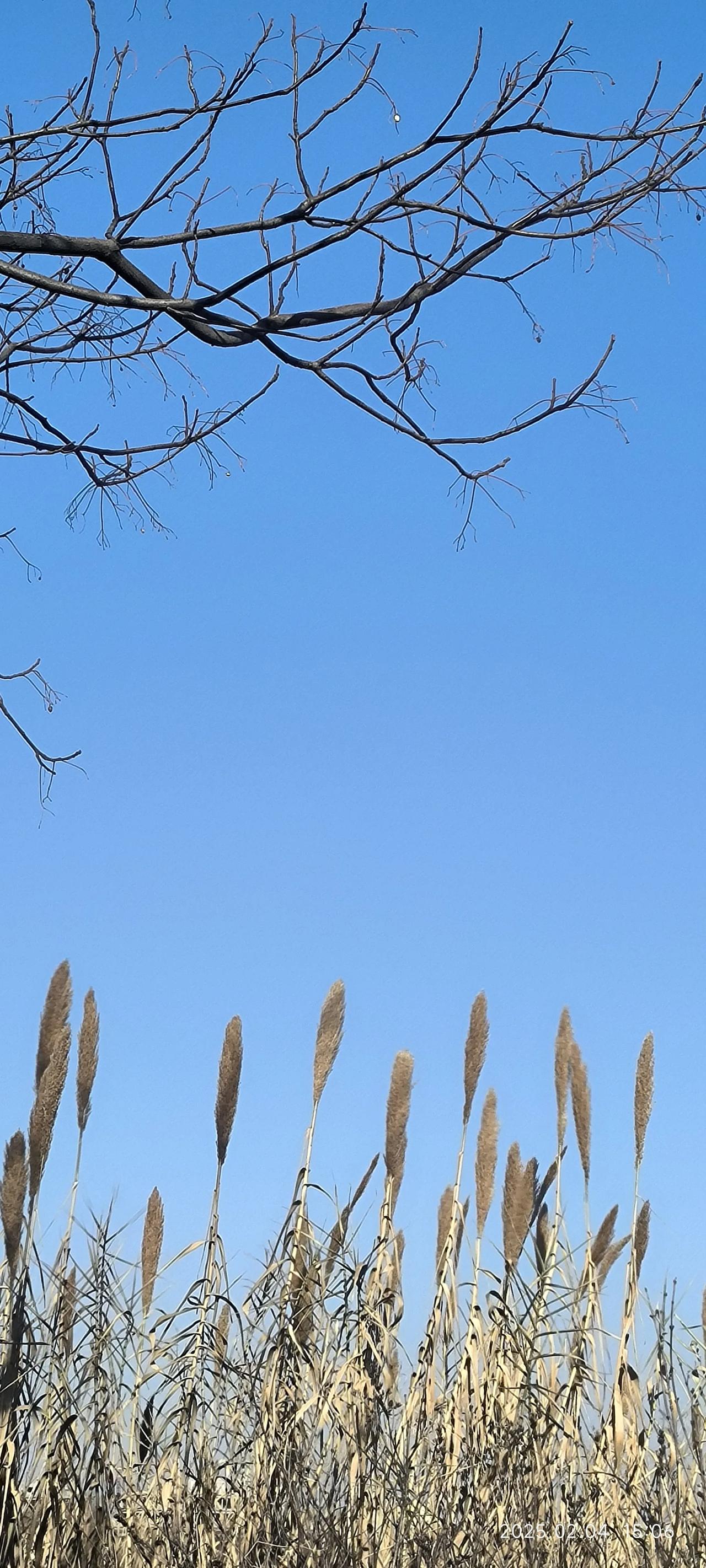 退休在家，一个人太无聊了！每天早上醒来，真不知道怎么打发这一天。我不喜欢出去旅