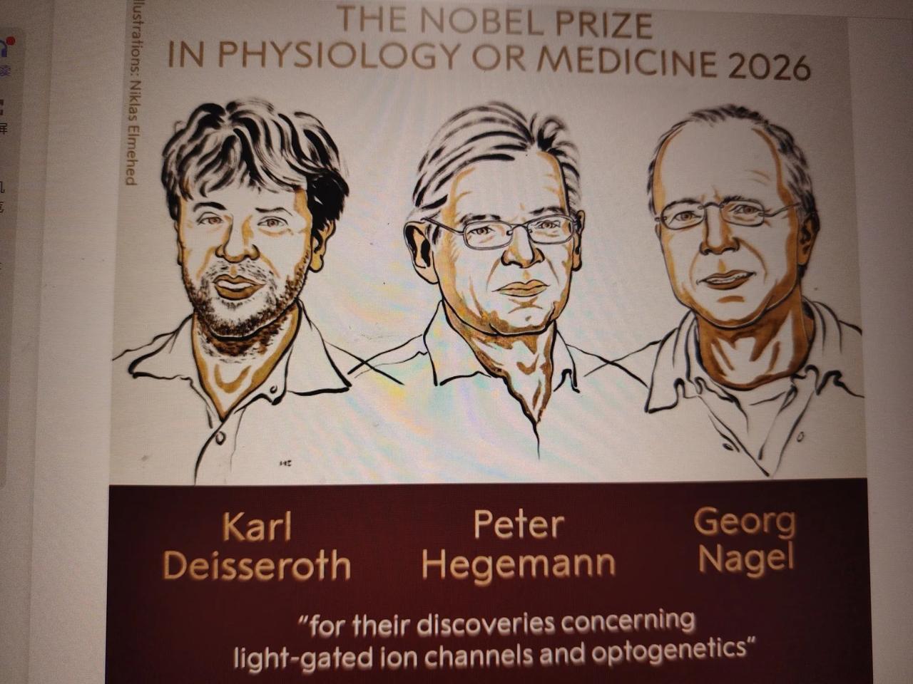 诺贝尔首奖给了德国和美国科学家，评选机构认为用光研究大脑有突破性贡献！202