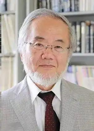 日本生物学家大隅良典因为发现了饿肚子时身体居然会主动"吃掉"受损细胞来自我清