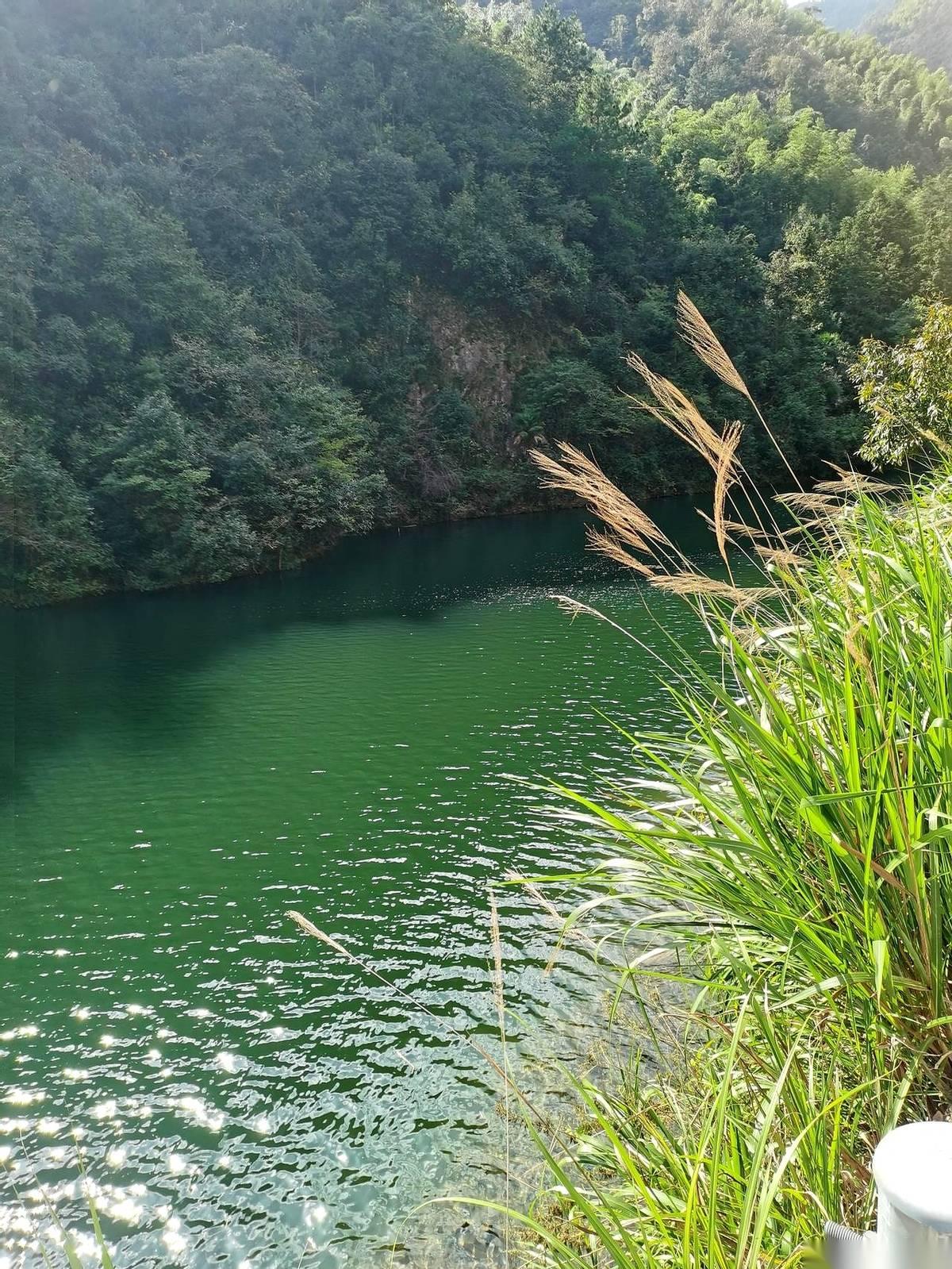 半夜十二点，手机“叮”一声，屏幕亮了。租客发来的微信：哥，你得想办法，给我把水