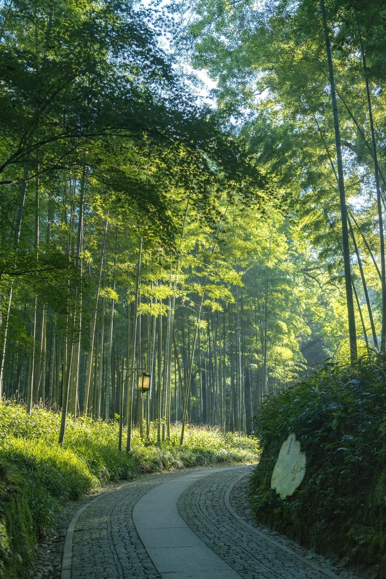 今天和一位重点高中的高三老师闲聊，他说觉得社会上不少景点都在拿老师开玩笑。这不是