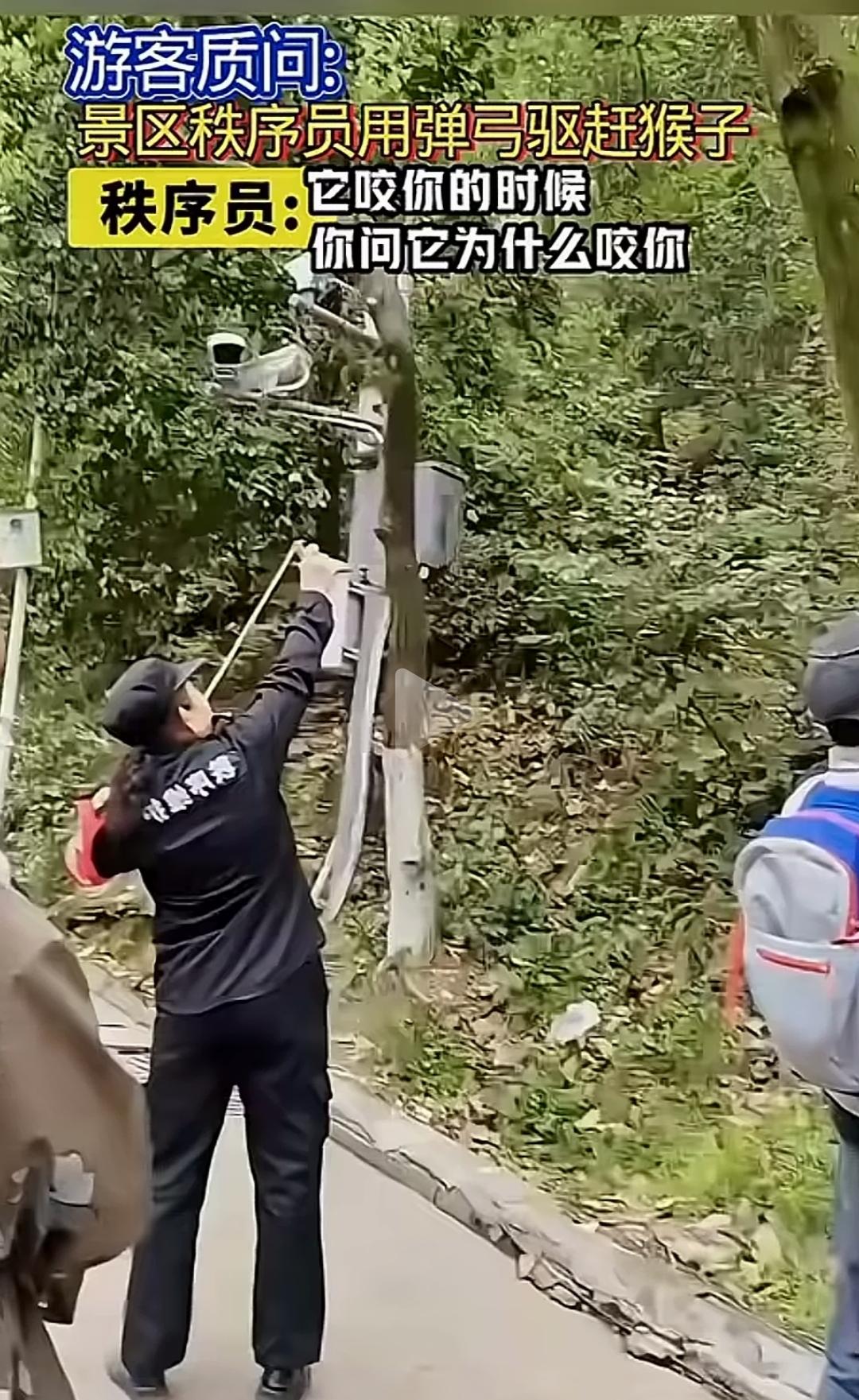 来看看中国的白左是如何被怼的。公园管理员用弹弓驱赶猴子，有人还为猴子抱不平。