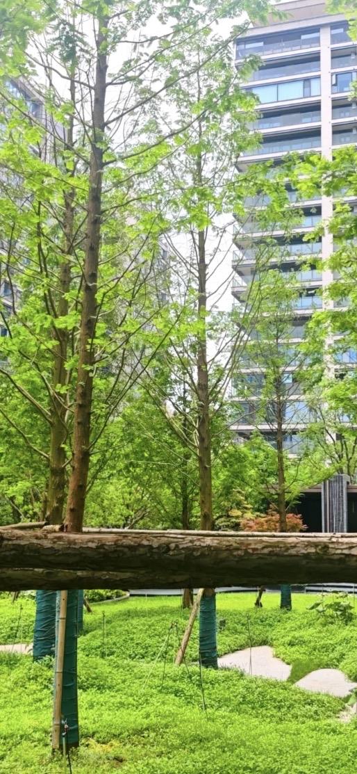 昨日（5日17），北京二手房市场数据：三降一平”！有一点令人迷惑？1、网签量