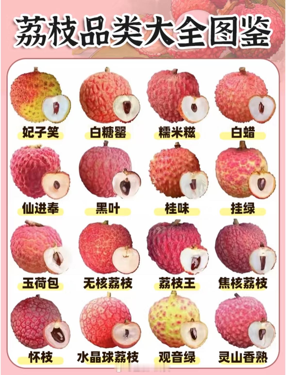 一分钟认识荔枝品种合集🐴​​​