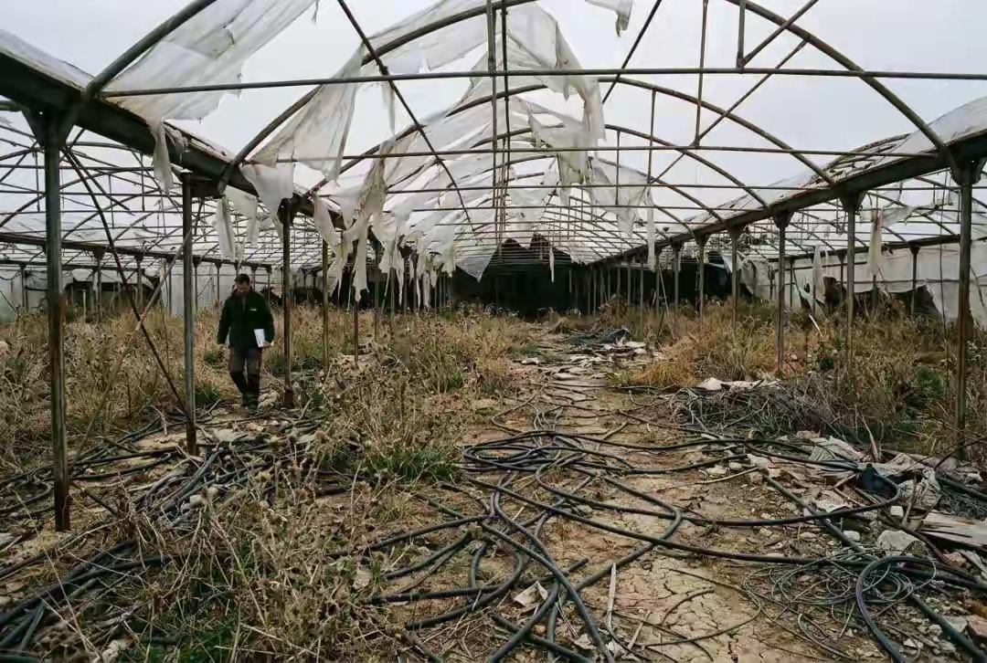 央视曝光1.2亿的农业骗局，居然只建成5个大棚，关键它自己还一分钱没出，完全就是