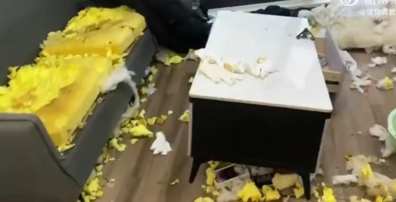新房出租1年被糟蹋成破烂能不能让正常的租客和正常的房东相遇一下​​​