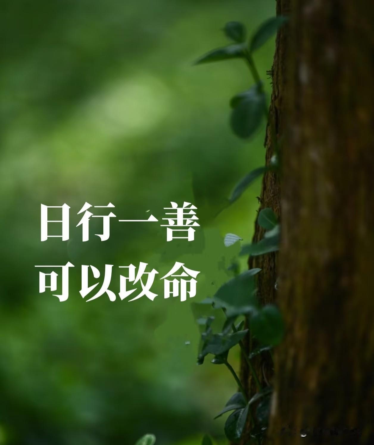 当选择善良，不需要去精于算计，不需要戴着面具生活，夜晚入睡时，不必因为白天的某个