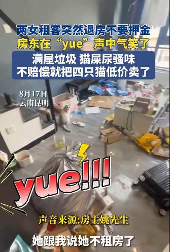 据南昌广播电视台8月18日报道，2024年4月，房东张先生（化名）将一套双层公寓