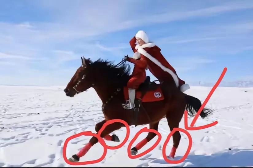 贺娇龙骑深棕马的照片火出圈，大家盯着马腿上那抹亮色好奇：这绑的是啥花架子？其实