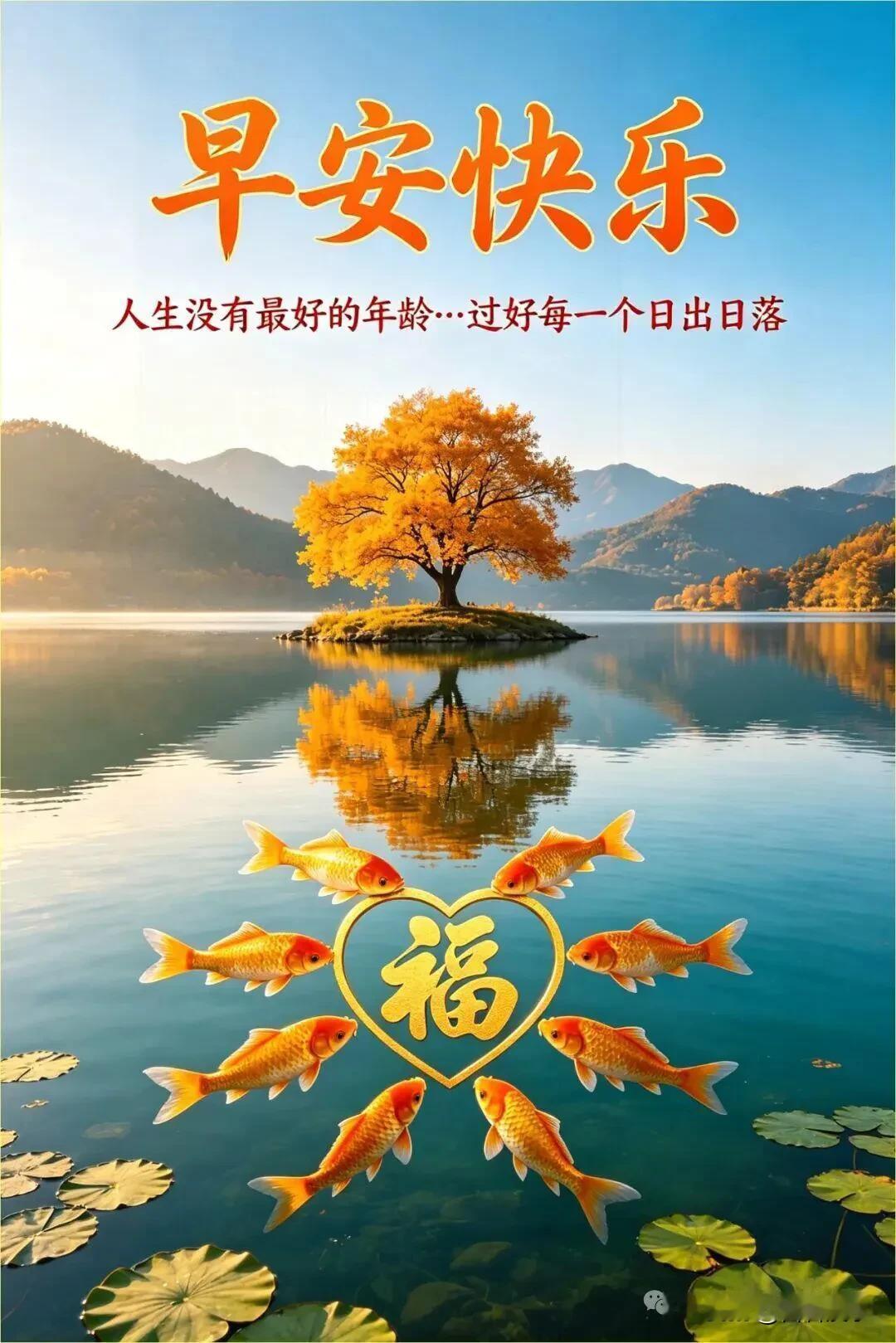 借一缕朝阳，愿所有辛劳都有回报，所有期盼慢慢落地，生活暖意常在。