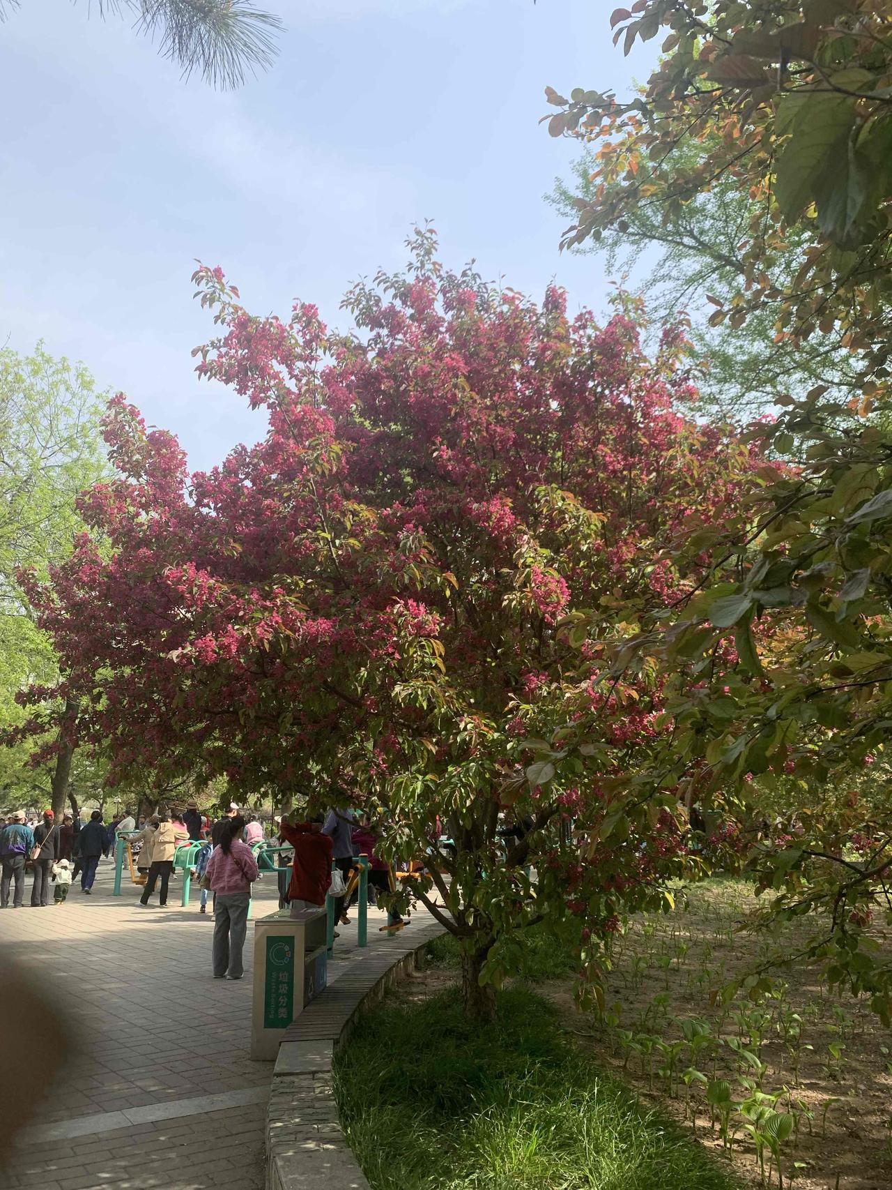 以前每年舅舅过生日，媳妇转200，小舅子转400。今年小舅子失业在家，说手里没钱