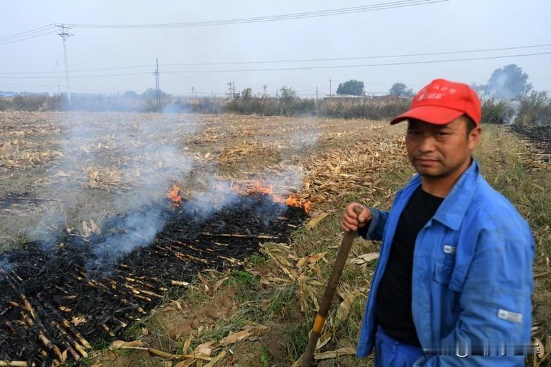 玉米在不同地方的方言叫法可太有意思了。在东北和新疆,大家都喊它“苞米”,据说这和