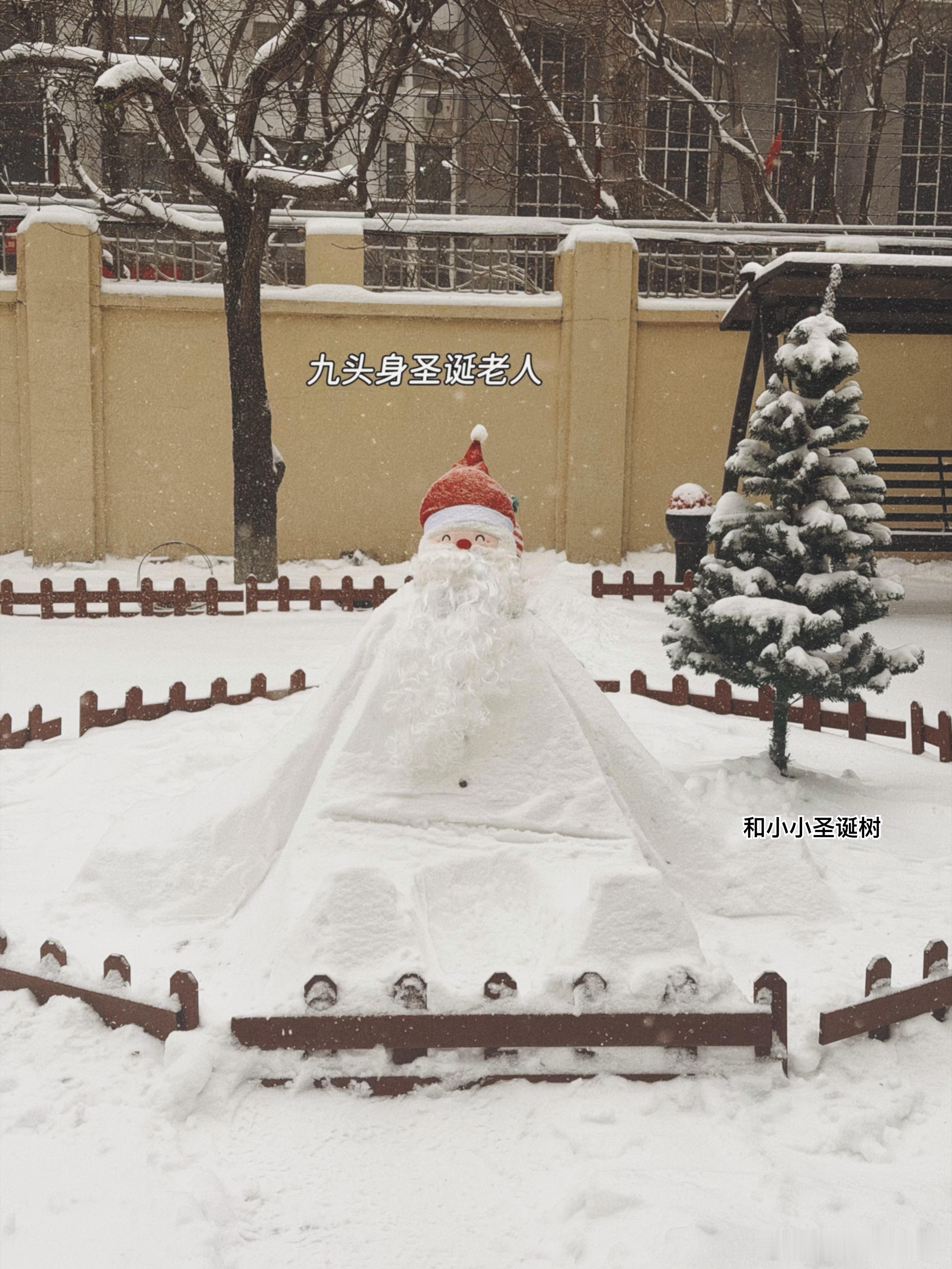 小时候有一天我爸突然蹲在一盆树（对一个盆栽树我也忘了是什么书）面前往上挂一些彩纸