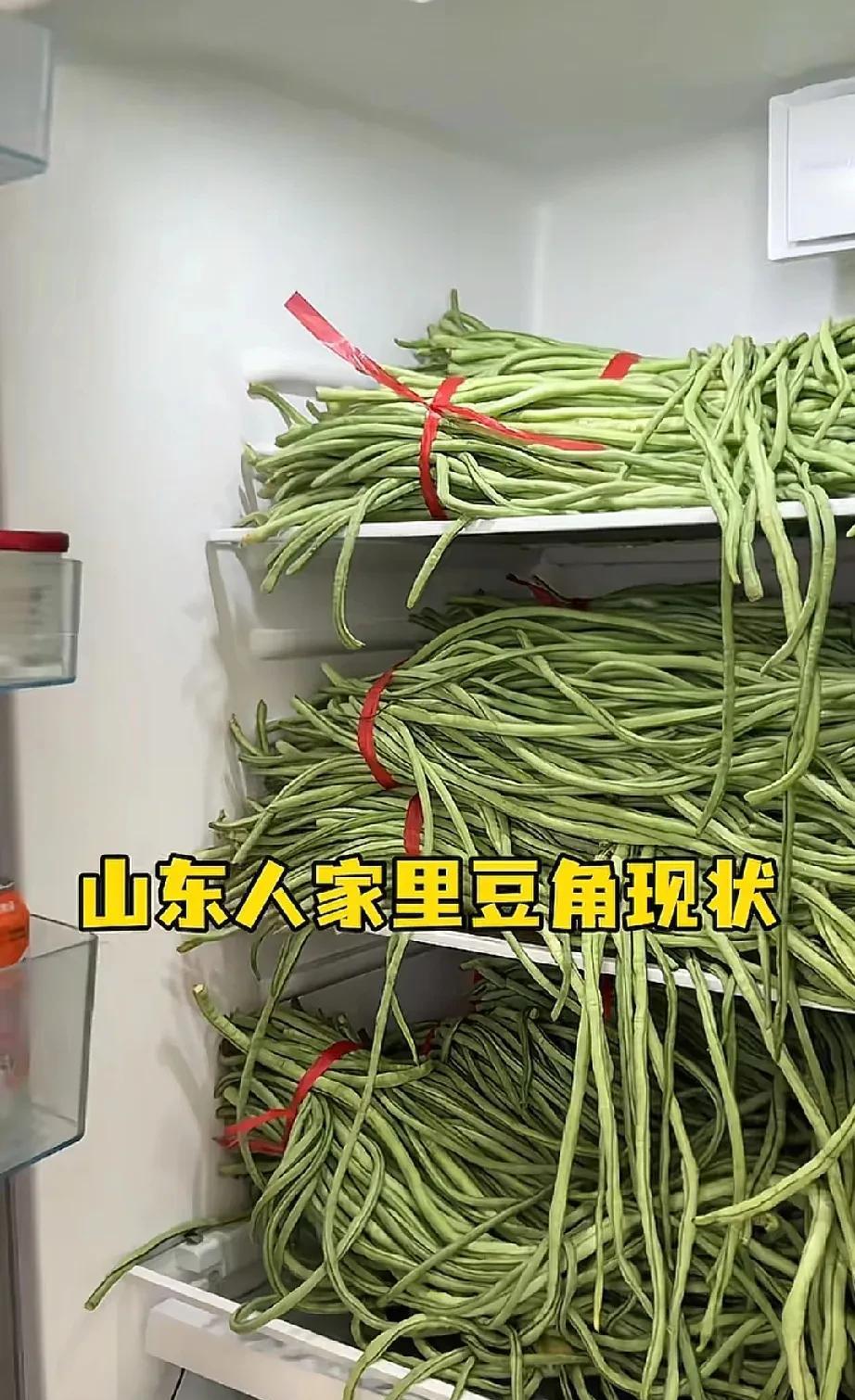 最近老是刷到北方的朋友豆角犯愁。对于我们湖南人来说，豆角永远都不够吃，怎么