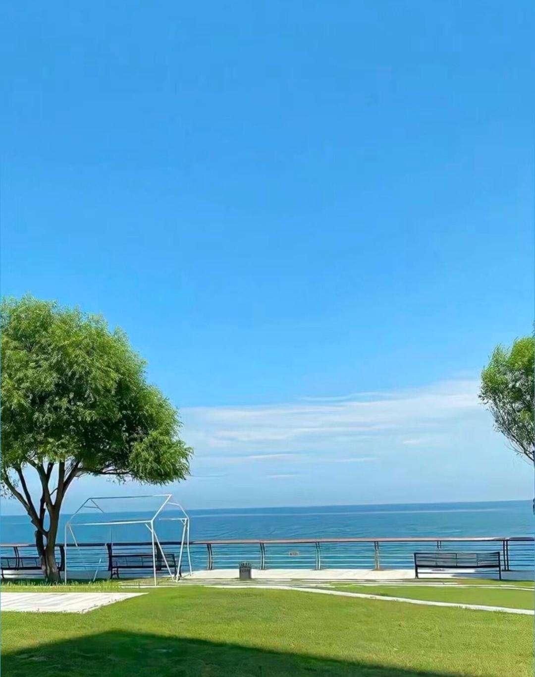 在职场中，性格过于顺从的人要尽早练习“脸皮厚一点”。因为太顺从的人往往过得不太顺