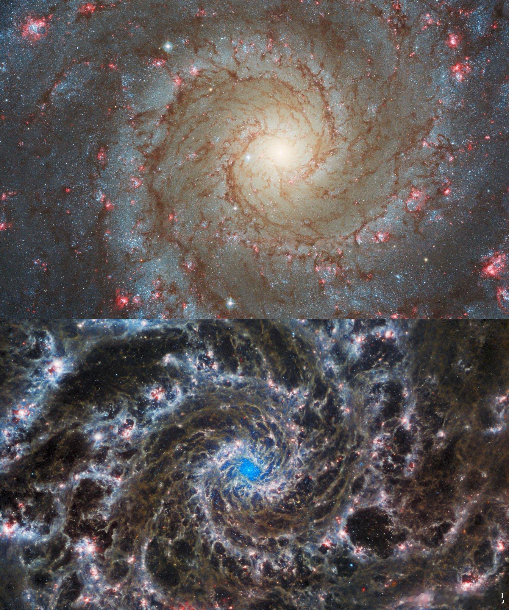 一个由一千亿颗太阳组成的活岛屿。M74不是一幅画。它是一个真实的天体，此刻正