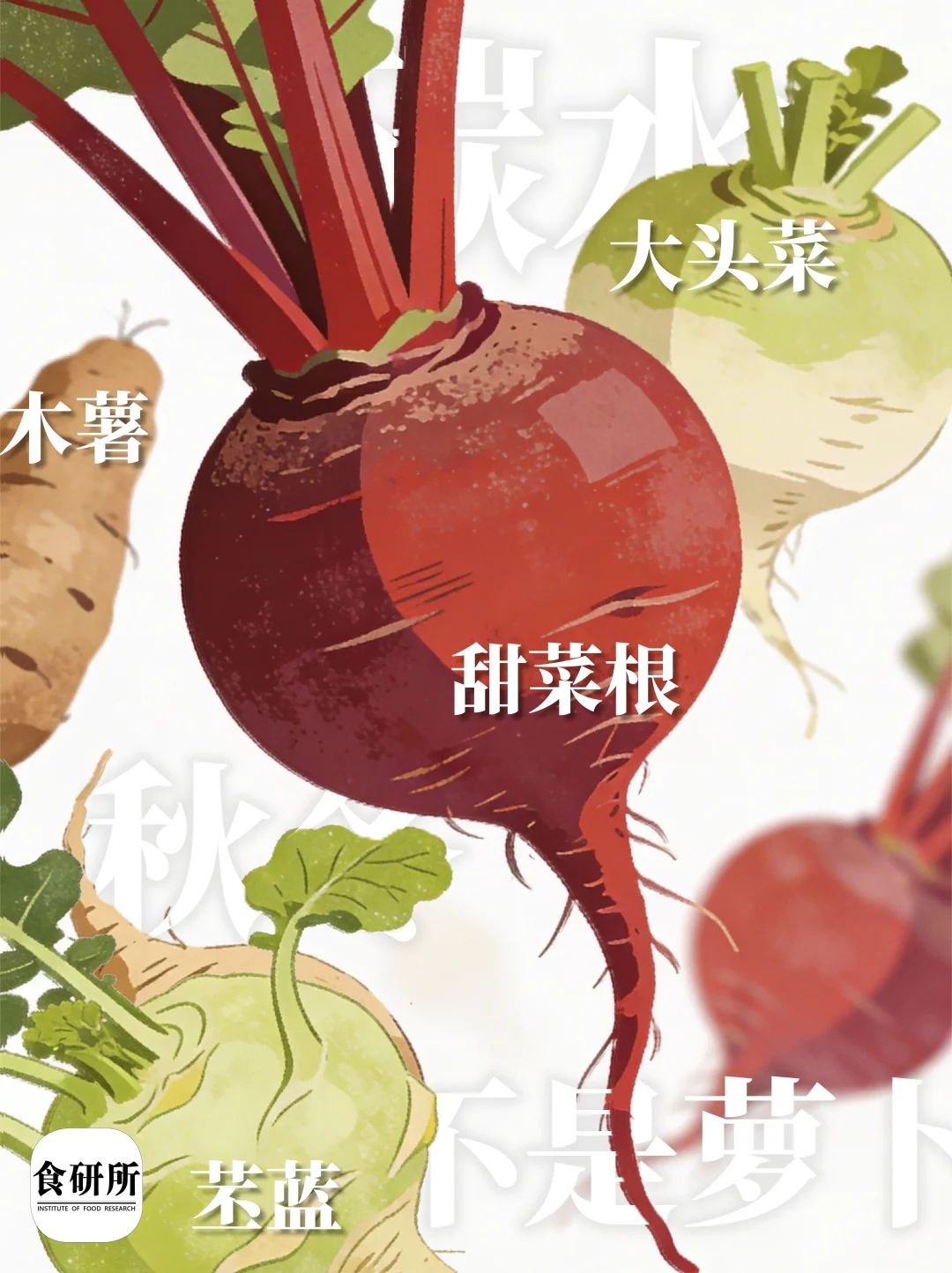 🫜真的不是萝卜！