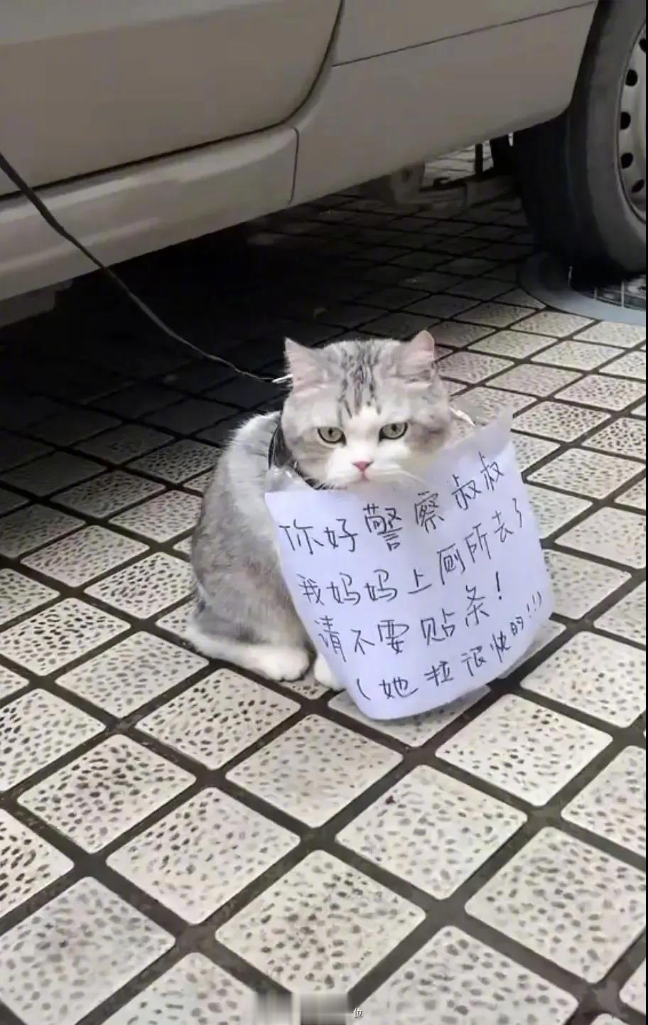 这也太可爱了吧！