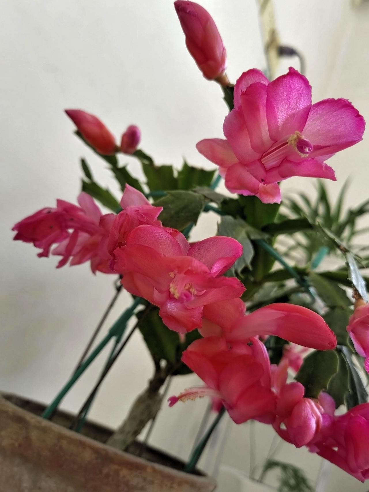 读一篇短文，六十多岁的两口子，月退休金加起来七千多，存款四十万，以为晚年生活有保