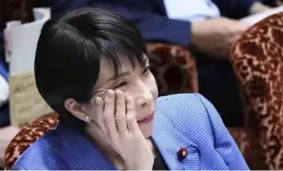 由于法国支持德国、日本、印度、巴西入常，所以在召开的联合国大会上，我们明确提出日