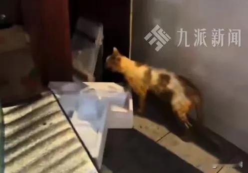 【有担当的老板】据九派新闻等多家媒体报道，5月2日发生在重庆一家火锅店的事上了