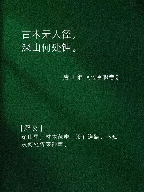 饱含禅意的诗词，读完心有明悟​​​