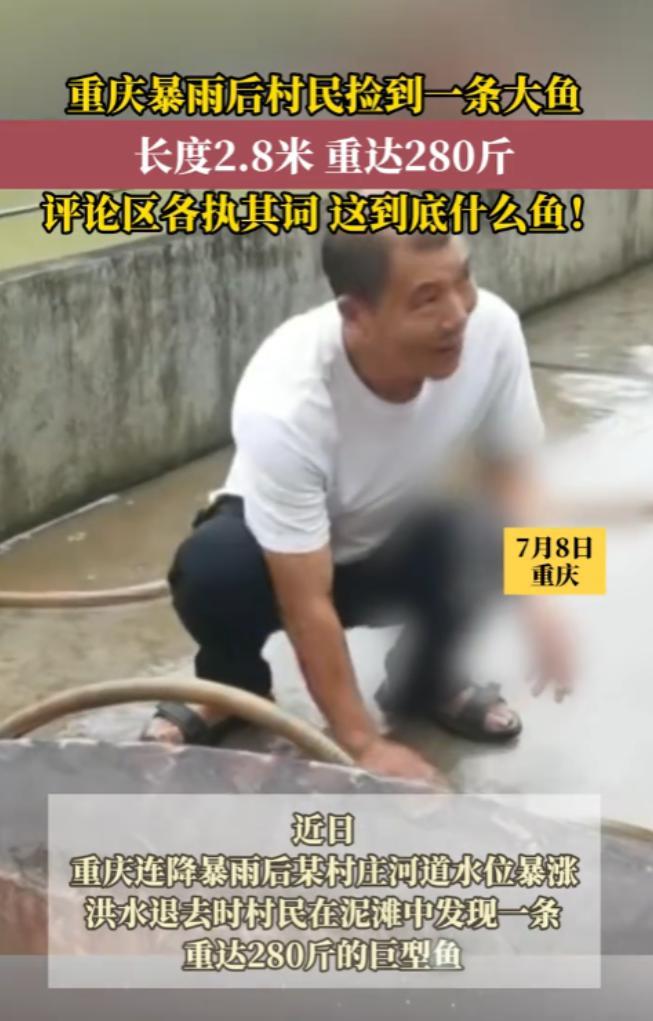 “这就是命啊！”重庆，暴雨刚刚结束，就有村民在河道旁，瞅见一个黑不溜秋的东西，等