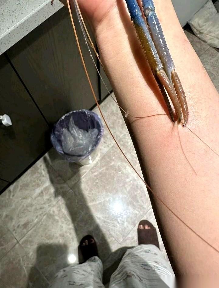 我老公那朋友，下次再提着这“高级货”上门，我真想直接把门关上。拎来一盒虾，包装